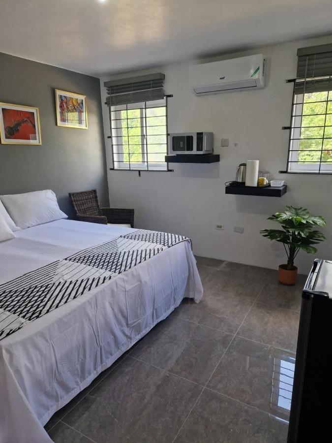 Hotel Amharic Kingston Exteriér fotografie